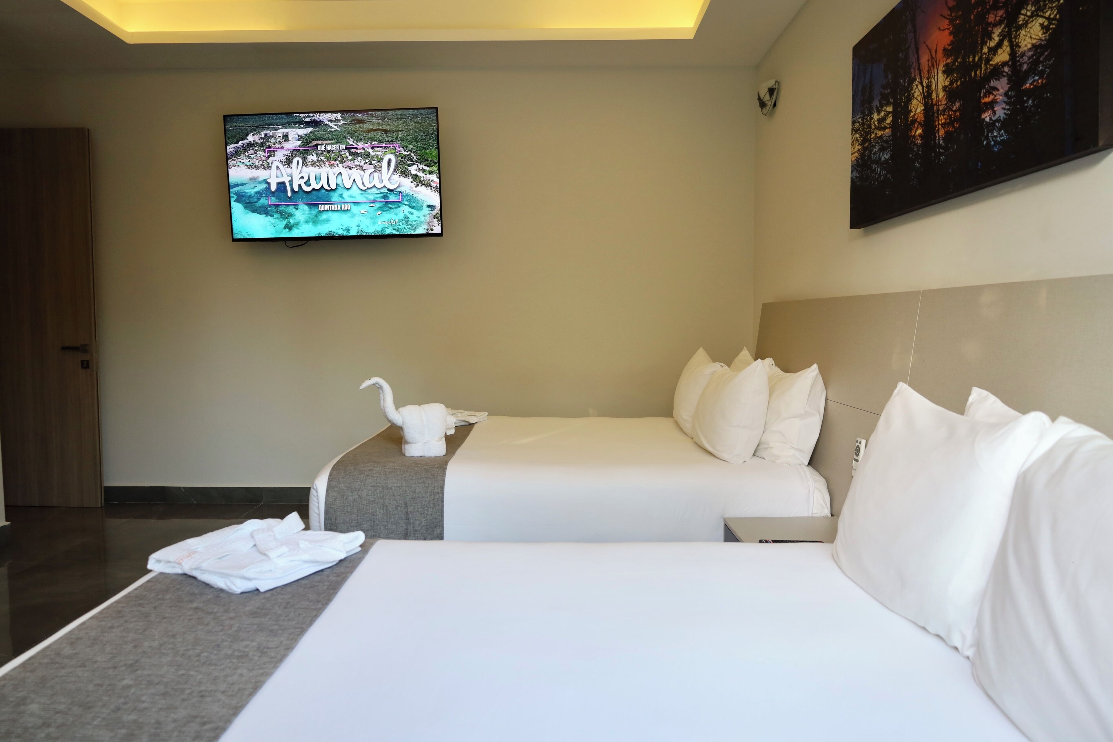 Deluxe Studio Suite, 1 Bedroom, Hot Tub | Down comforters, in-room safe, individually decorated