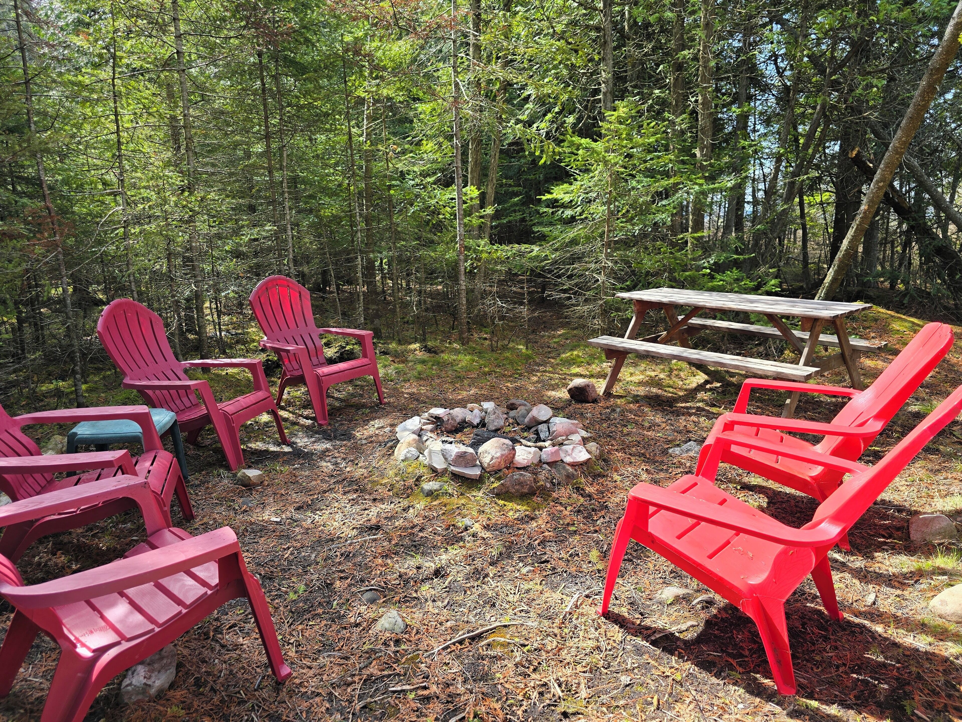 A forest campsite with red Adirondack chairs, a wooden picnic table, and a fire pit surrounded by rocks.