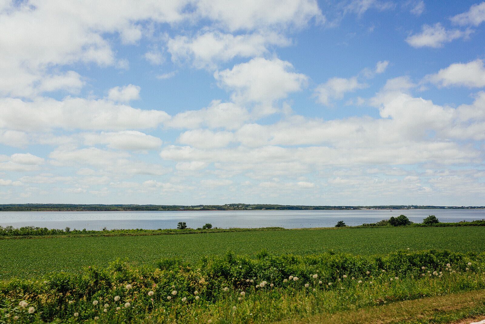 Vista amplia de un lago con cielo despejado y un campo en primer plano.