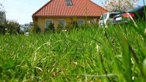 A house with a red-tiled roof and a small window. - Morning sun - Apartments Meeresfrische (Kühlungsborn)