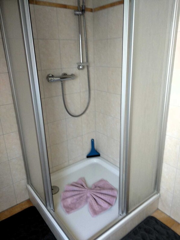 Ducha con mampara de vidrio, cabezal de ducha manual y cepillo manual.