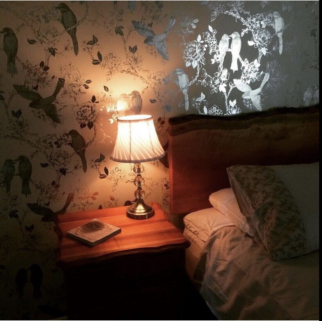 Kymmik Cottage - A slice of Tasmanian paradise — image 18