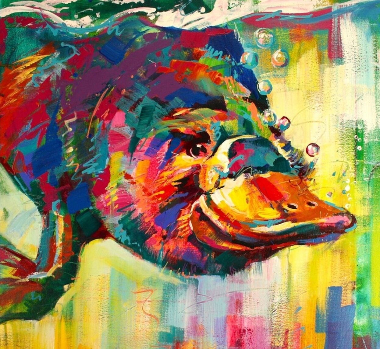 Kymmik Cottage - A slice of Tasmanian paradise — image 16