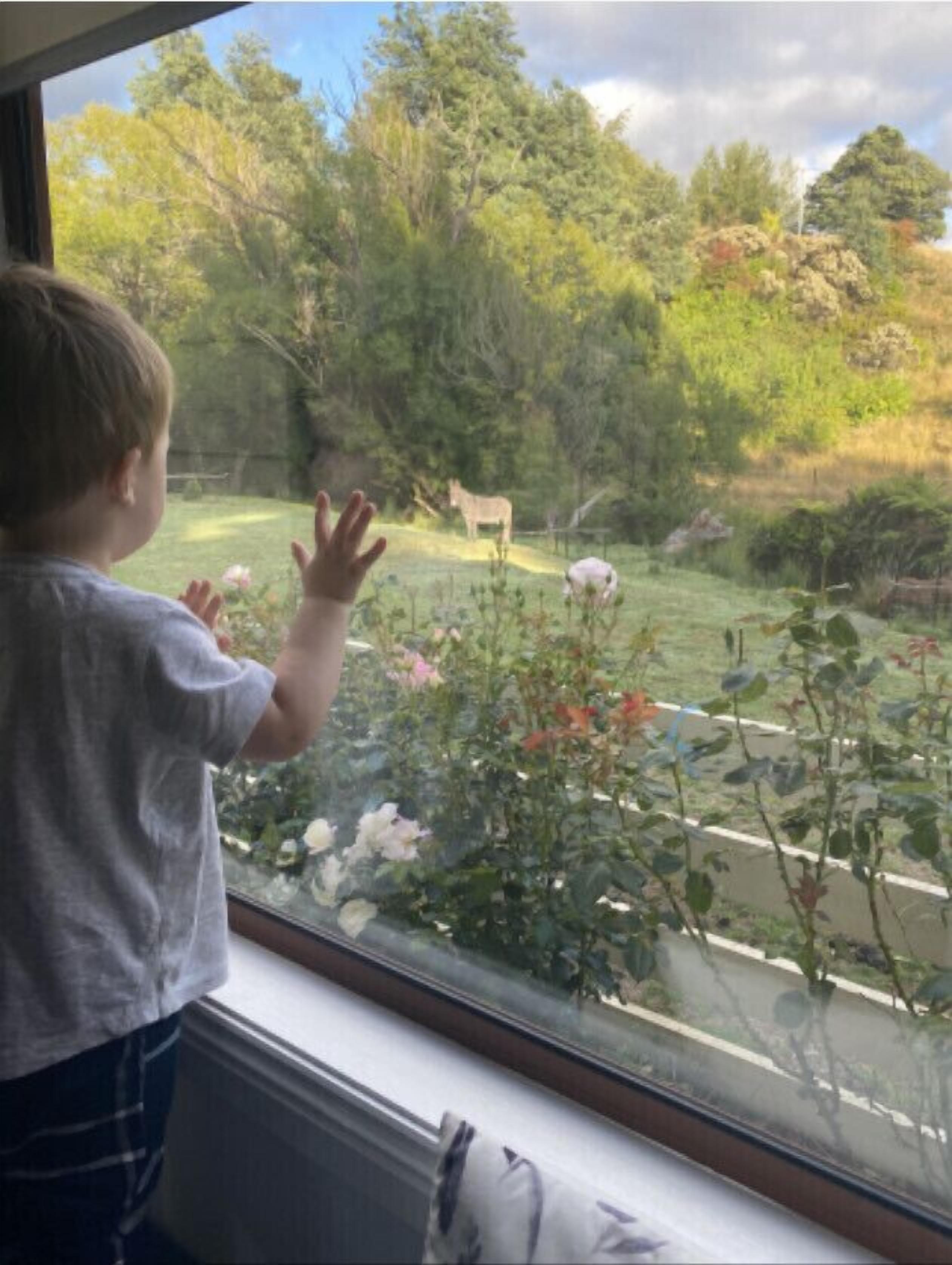 Kymmik Cottage - A slice of Tasmanian paradise — image 12