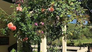 Un jardín con plantas florecientes y un portón de madera.