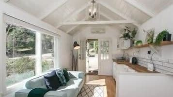 Netflix, streaming services