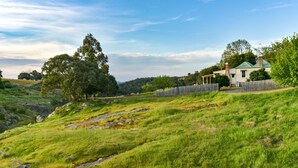 A house with a green roof, surrounded by a grassy landscape and trees.