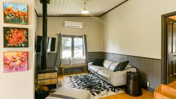 Smart TV, fireplace, books