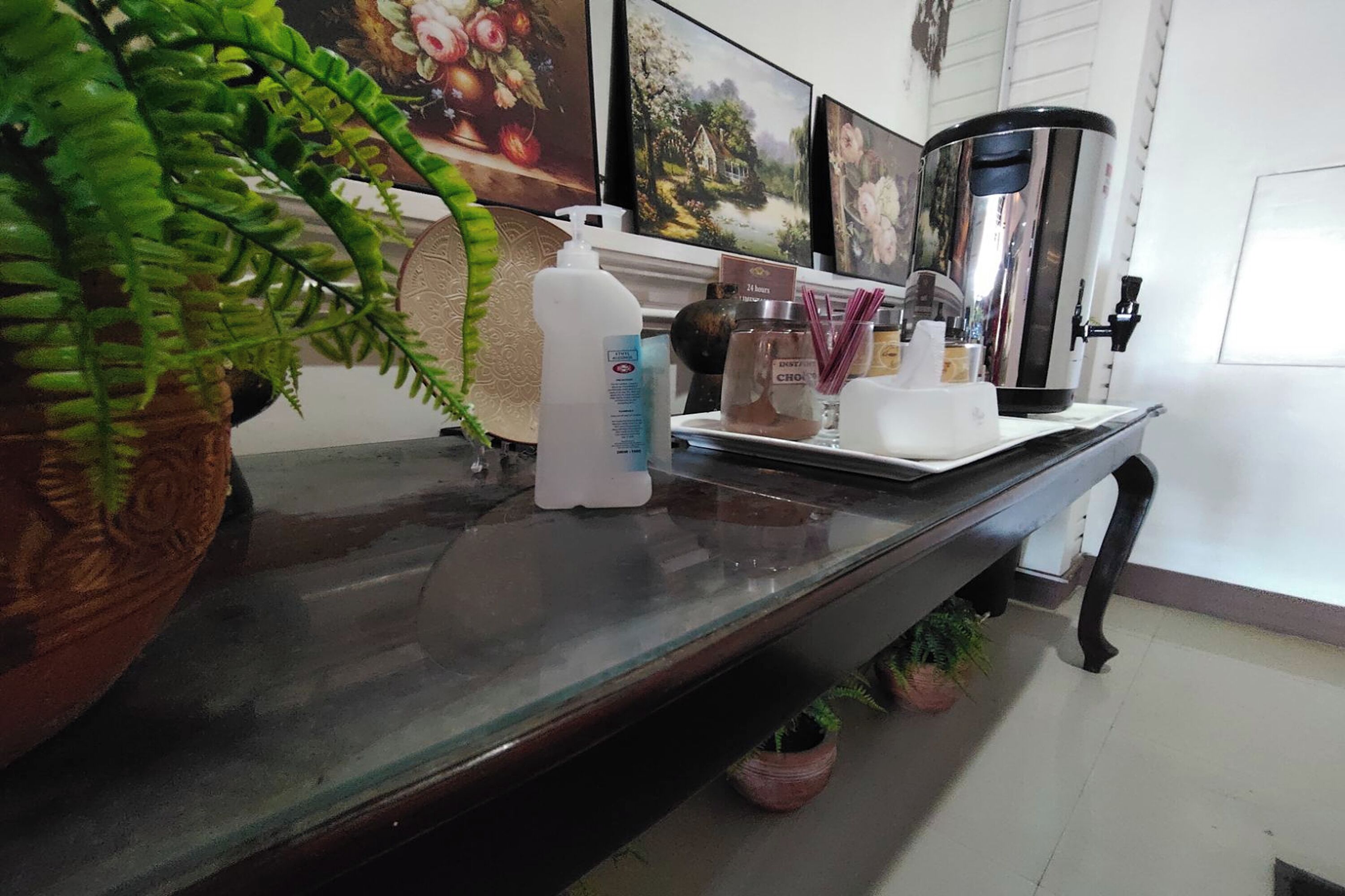 A reception desk with a potted fern, a bottle of hand sanitizer, and a coffee machine.