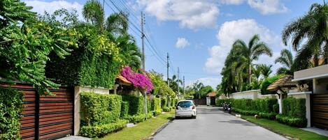 A residential street with a white car parked on the side, surrounded by lush greenery and palm trees.