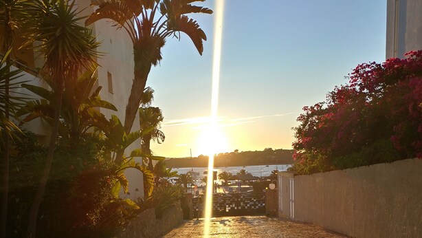 A cobblestone pathway leading to a waterfront view with palm trees and bougainvillea. - Clube Alvor Ria 103 Luxury sea view 1bed apartment outstanding central location. (Alvor)