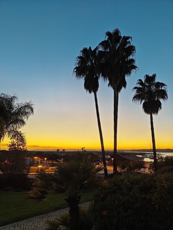 A sunset view with palm trees and a marina. - Clube Alvor Ria 103 Luxury sea view 1bed apartment outstanding central location. (Alvor)