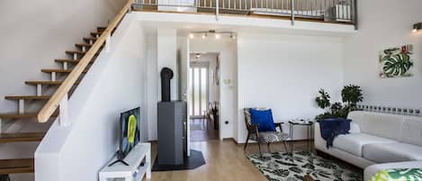 Smart TV, fireplace, books