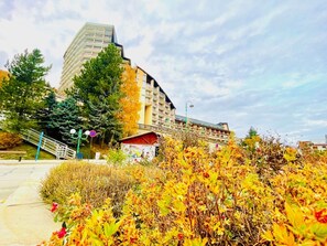 Property grounds - Central slopeside studio - 6 pax, balcony, closed garage (Les Deux Alpes)