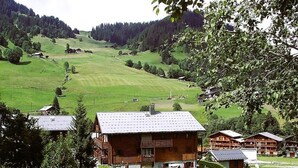 Uklassifisert bilde, 4 av 18, knapp