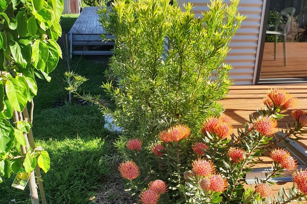 Àrea exterior de l'allotjament