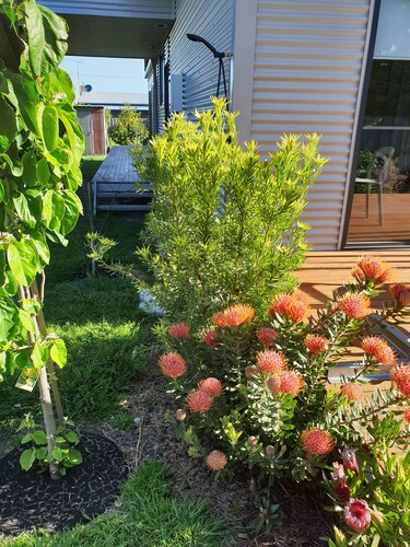 Outstanding pet friendly modern property with all amenities and terrific views.