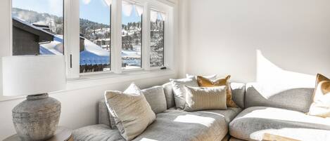 Smart TV, fireplace, books