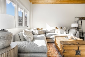Smart TV, fireplace, books