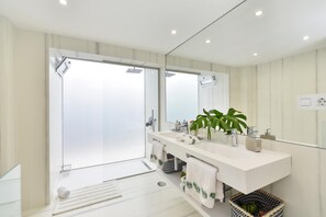 Chuveiro, secador de cabelo, toalhas de banho 