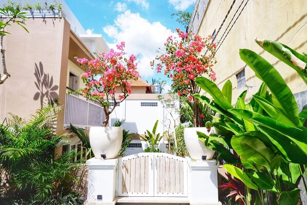 Property grounds - The Sloth Bali (Canggu)