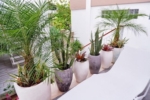 Jardines del alojamiento