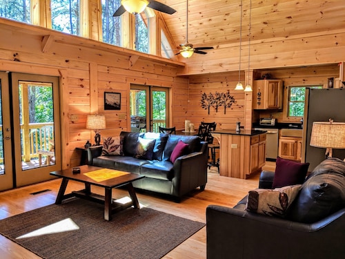 Cabin life near Asheville/Hendersonville. Secluded but still convenient escape!
