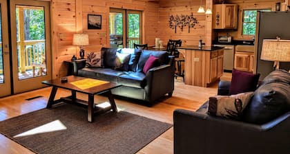 Cabin life near Asheville/Hendersonville. Secluded but still convenient escape!