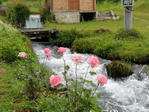 Mehrfamilienhaushalt am Ende der Welt
