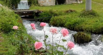 Mehrfamilienhaushalt am Ende der Welt