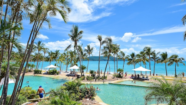 A resort pool area with multiple sun loungers and umbrellas, surrounded by palm trees and a view of the ocean. - Frangipani 8 - ground floor apartment (Hamilton Island)
