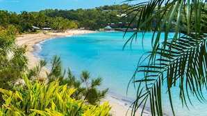 A beach with clear turquoise water, surrounded by lush greenery and a few buildings in the background. - Frangipani 8 - ground floor apartment (Hamilton Island)