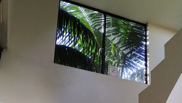 Staircase - Hostal Nuevo Amanecer (Coca)
