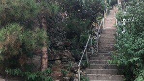 A set of stone steps leading up a hill, surrounded by greenery and rocks. - 2-story house, all the comforts of home, spectacular space and views!! (Bisbee)