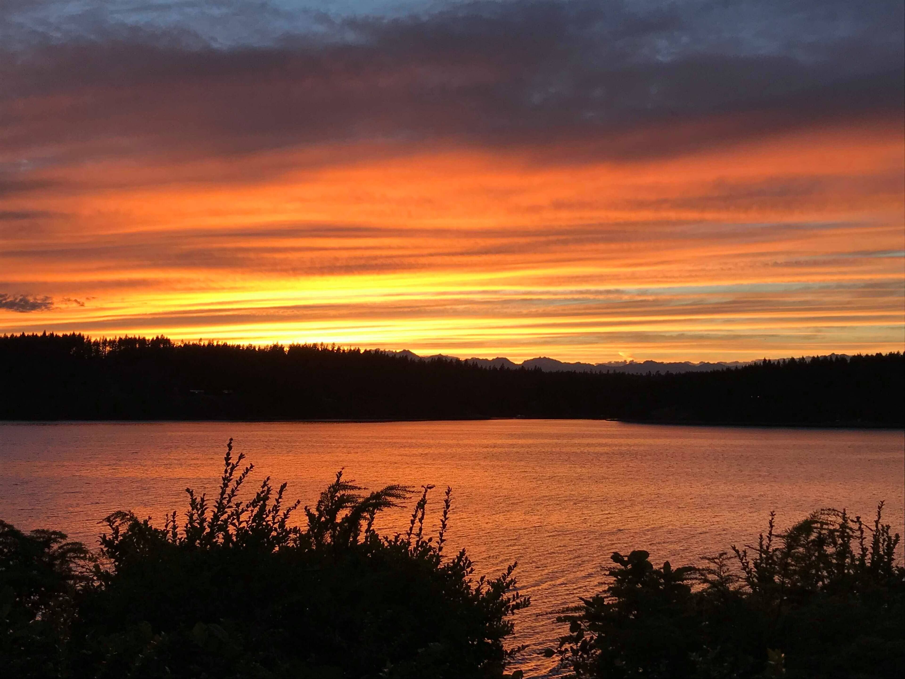 Nature Awaits on Harstine Island!