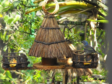 Jardín