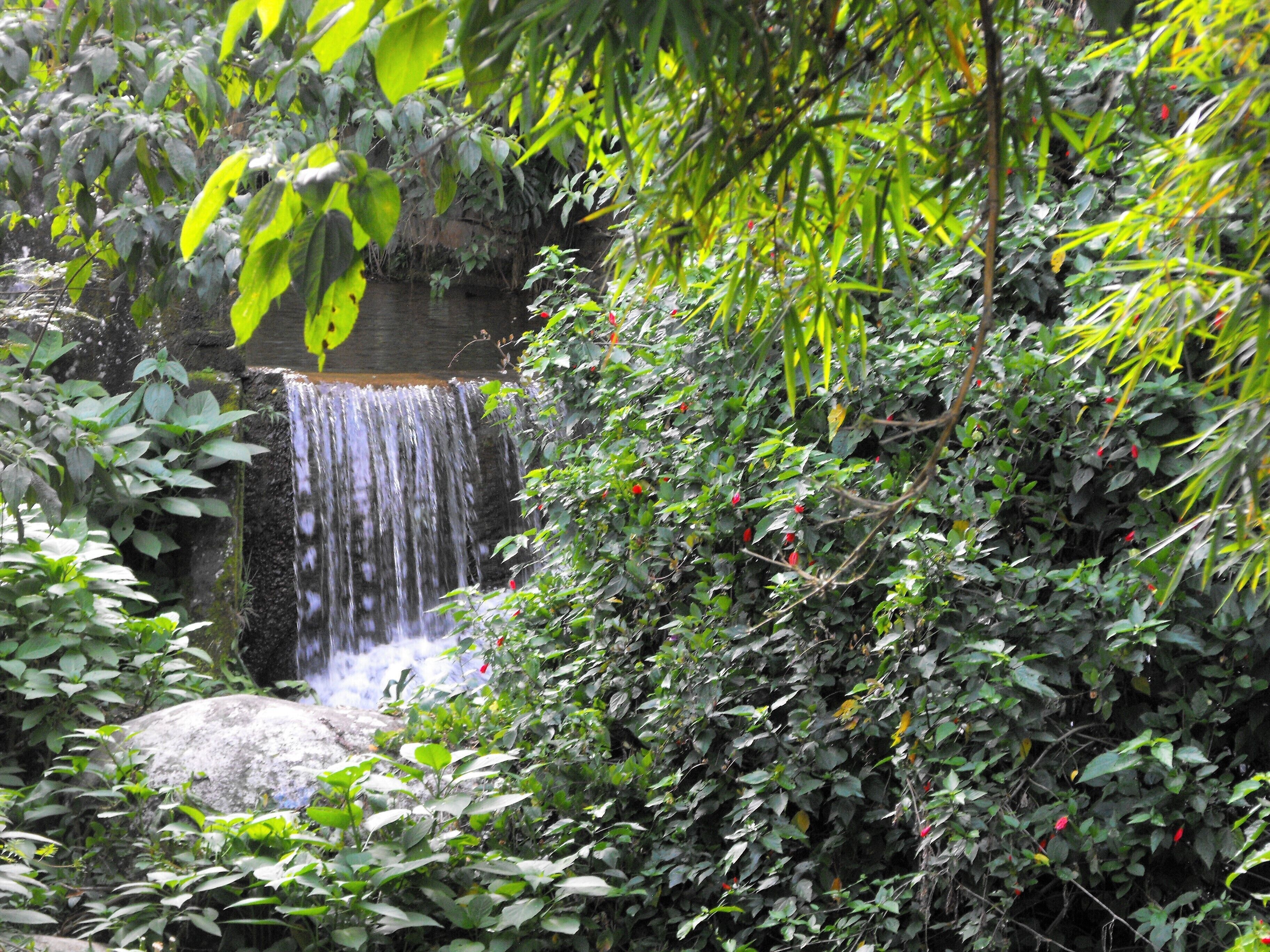 Foto - Pousada Cascata dos Amores