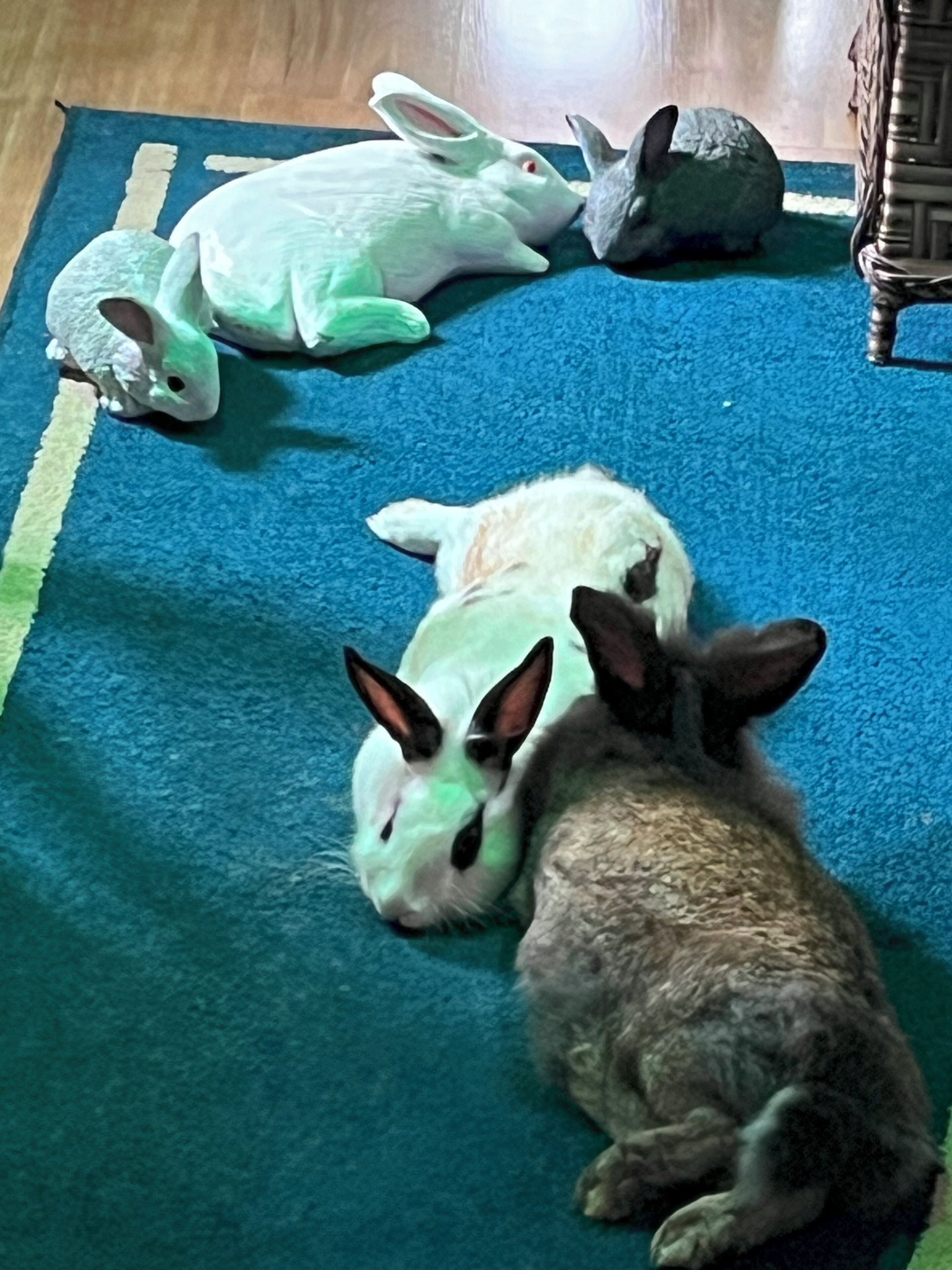 Foto - Pousada Cascata dos Amores