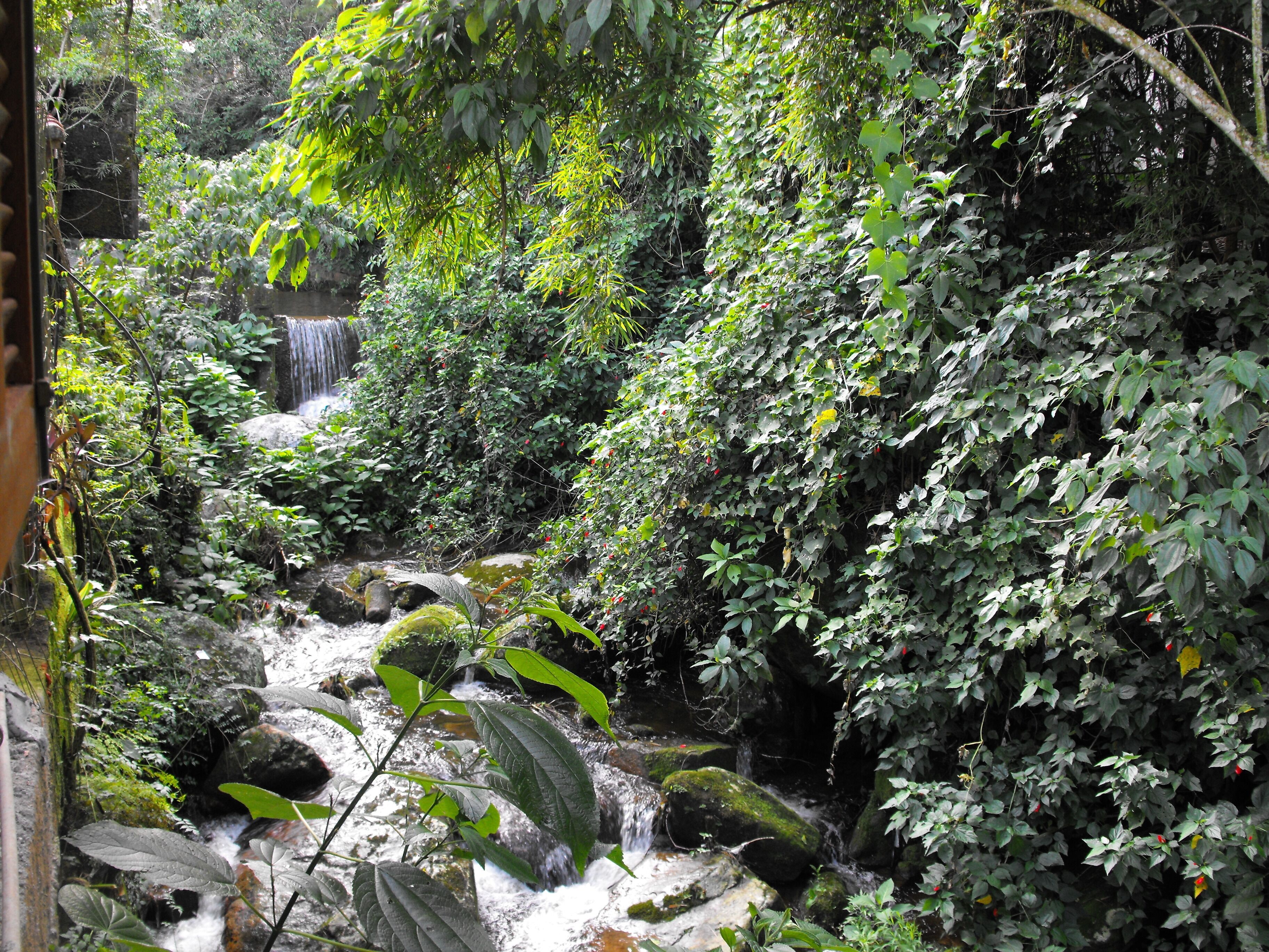 Foto - Pousada Cascata dos Amores