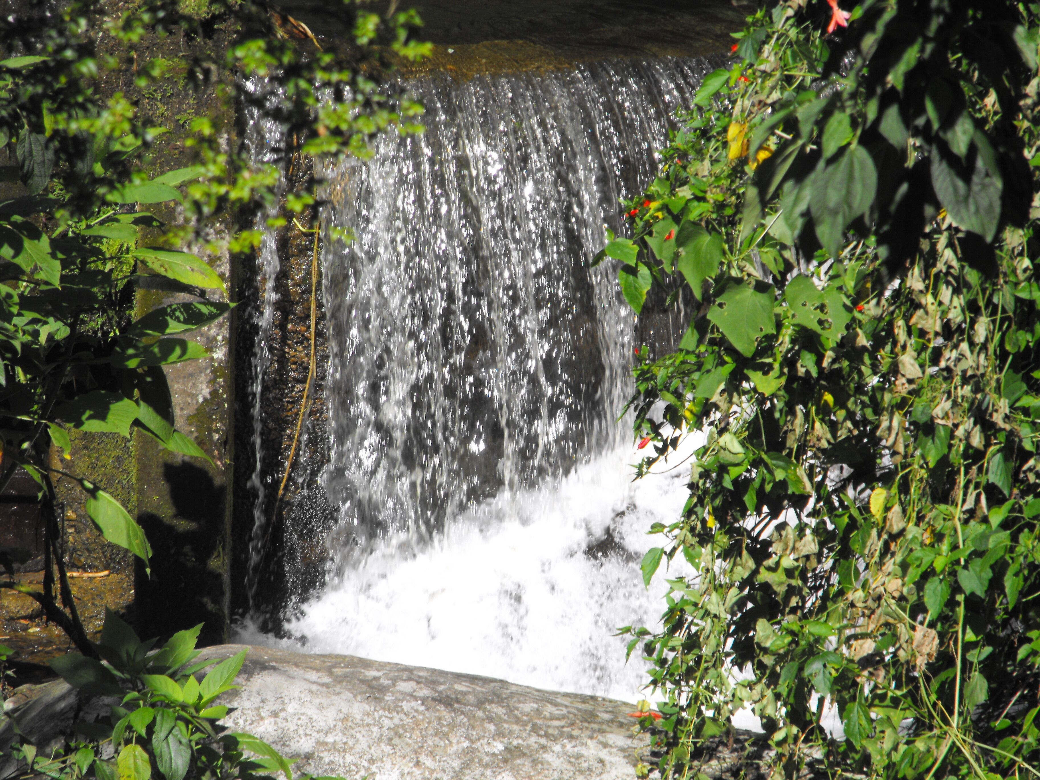 Foto - Pousada Cascata dos Amores
