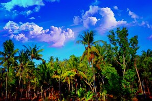 標準雙人房 | 住宿陸地景觀
