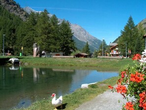 Terrain de l’hébergement 
