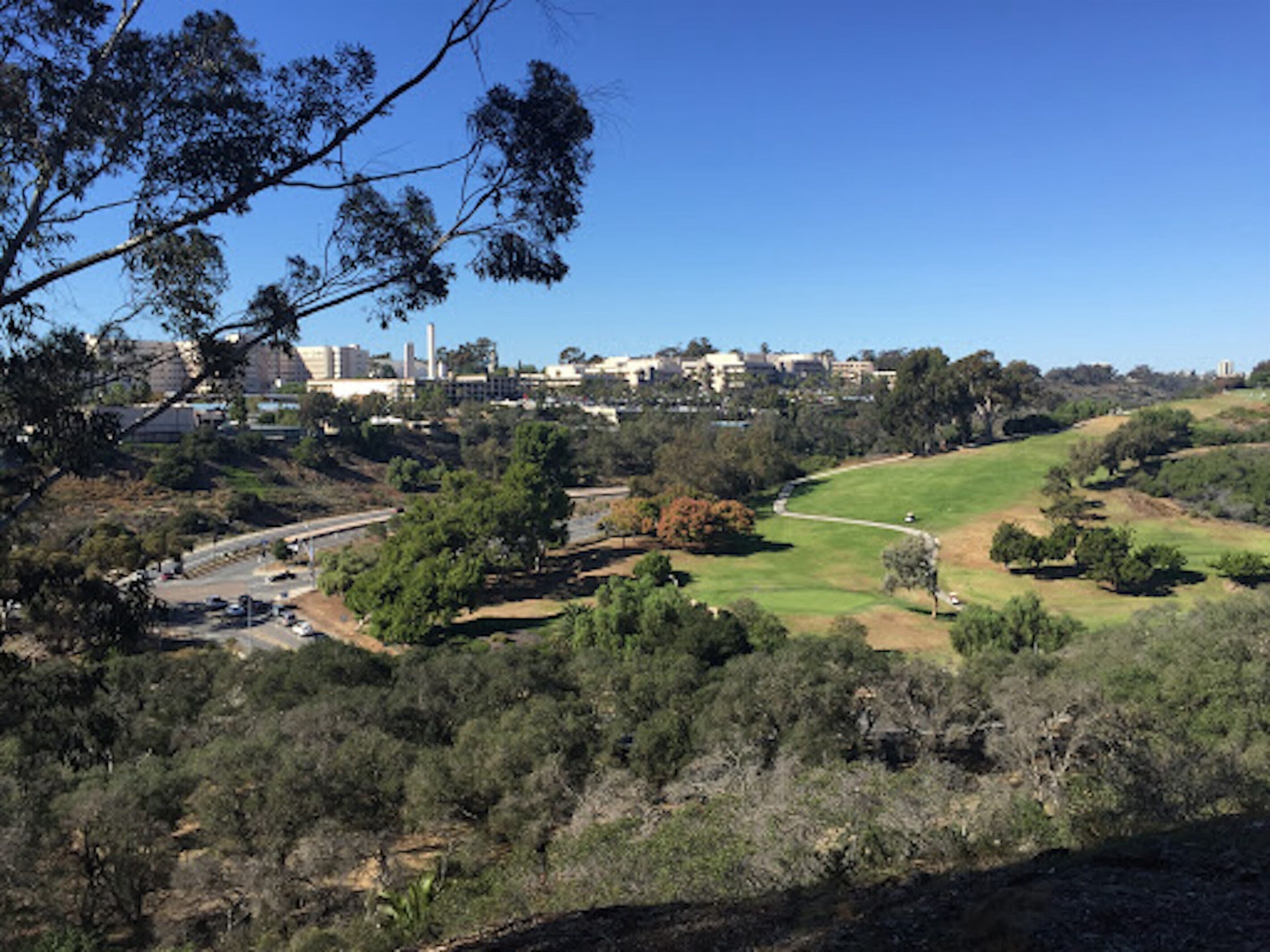 A hilly landscape with a road, trees, and buildings in the background.