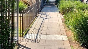 Ein gepflasterter Weg, gesäumt von einem Metallzaun und üppigem Grün.