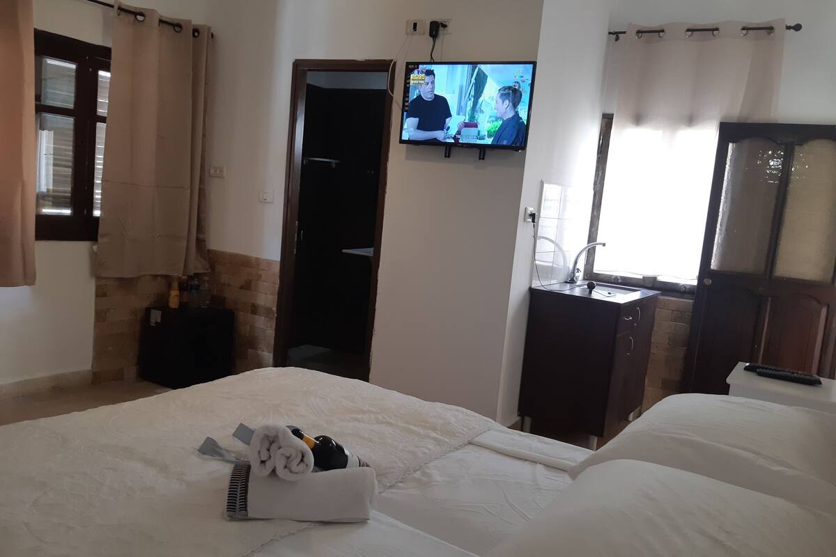 A hotel room with a bed, a television mounted on the wall, a sink, and a mirror.