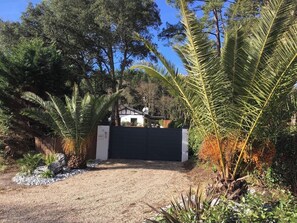 Property grounds - Charming T2 garden with trees and parking, close to beaches and golf course. (Seignosse)