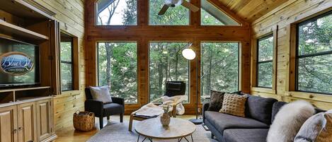 Flat-screen TV, fireplace