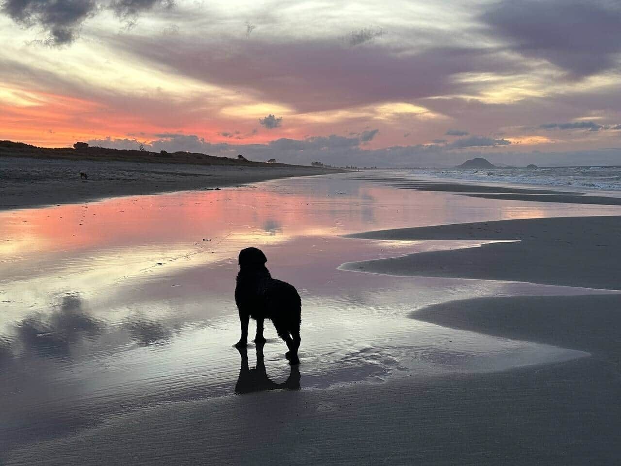 Serviettes de plage