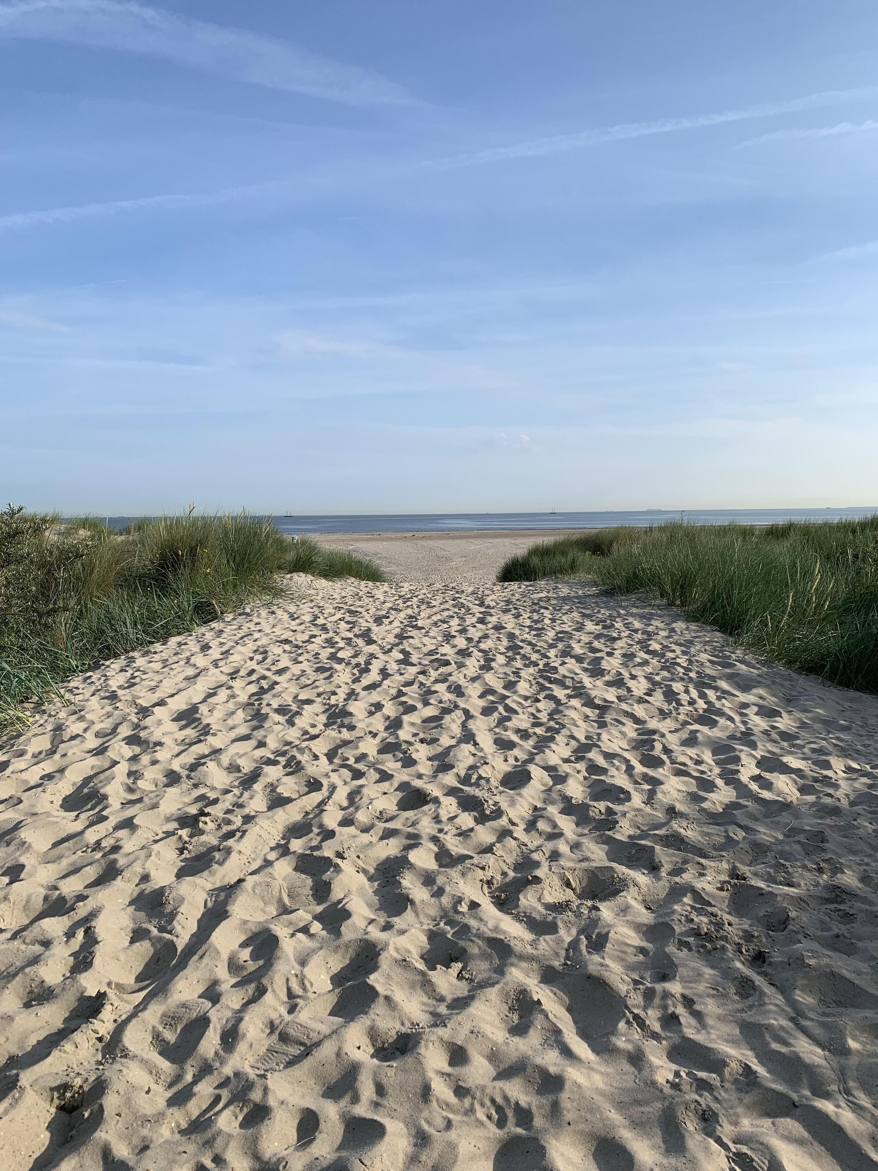 Playa en los alrededores 