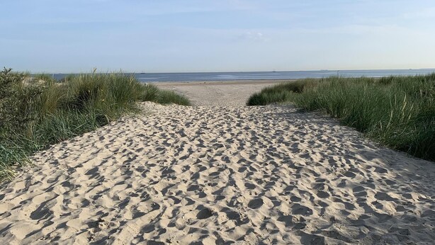 A sandy beach path leading to the sea, flanked by grass. - Cottage coast in South Holland behind the dunes by the sea (Ouddorp)